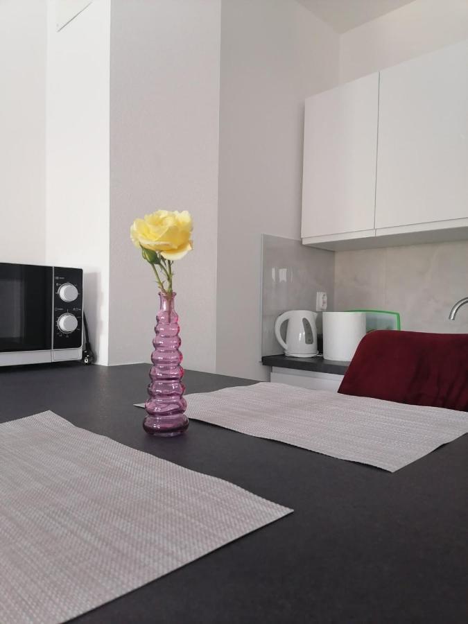 Leona Apartment Vidikovac, PUY Eksteriør bilde