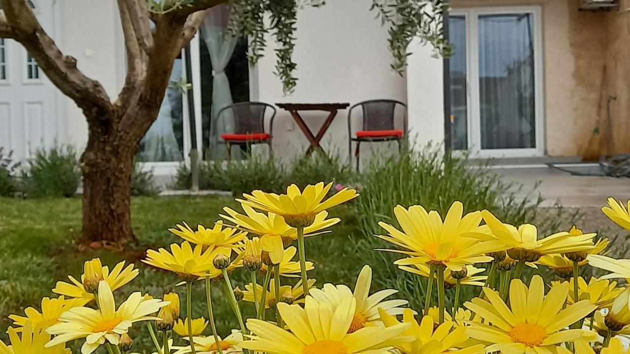 Leona Apartment Vidikovac, PUY Eksteriør bilde